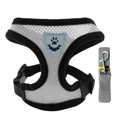 Arnés Tipo Chaleco Transpirable 🎽 – Ajustable, Incluye Correa para Perros