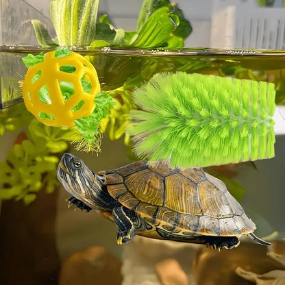 Cepillo Limpiador de Caparazón para Tortugas con Ventosa - Cepillo y Bola de Alimentación para Acuario