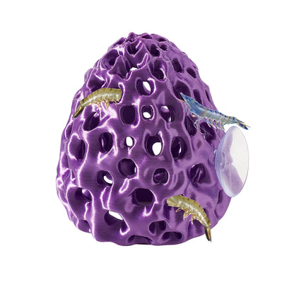 Escondite con Ventosa 🐠 – Para Camarones y Peces Betta