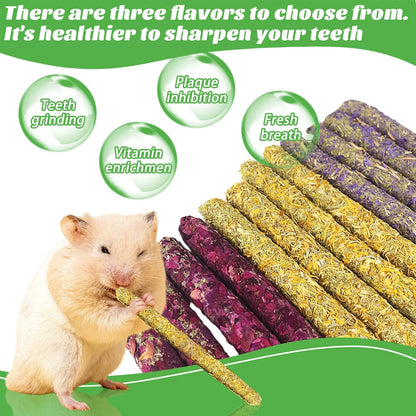 Palitos Masticables de Pétalos y Heno 🌾 – Para Conejos y Hámsters (Bote)