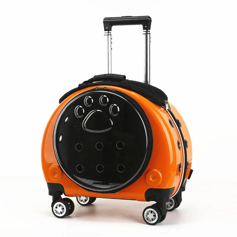 Mochila Transportín Transparente para Mascotas - Cápsula Espacial