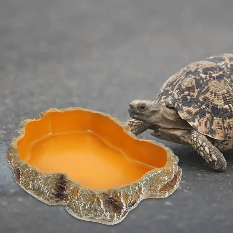 Comedero y Bebedero para Reptiles - Cuenco para Lagartos, Geckos, Ranas Cornudas, Serpientes y Tortugas