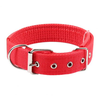 Collar de Nylon Ajustable 🐕 – Anilla de Enganche Resistente para Perros