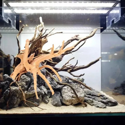 Madera Flotante Decorativa S/M/L para Acuario y Terrario - Tronco Natural para Reptiles y Arañas