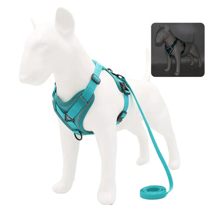 Set de Arnés y Correa 🐶 – Ideal para Perros Pequeños y Cachorros