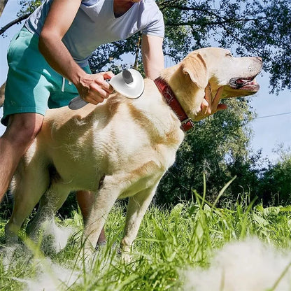 Cepillo Autolimpiable ✨ – Peine Antinudos para Perros y Gatos