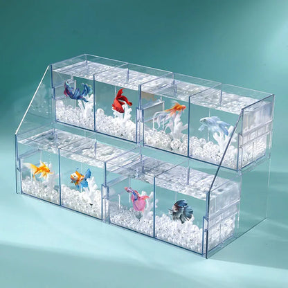 Pecera Acrílica Multi-compartimento 🐠 – Acuario DIY de Sobremesa para Peces Betta