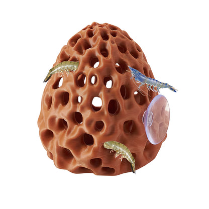 Escondite con Ventosa 🐠 – Para Camarones y Peces Betta