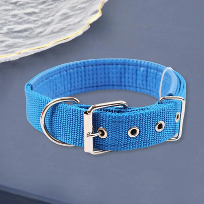 Collar de Nylon Ajustable 🐕 – Anilla de Enganche Resistente para Perros