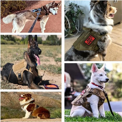 Arnés Táctico Militar 🎖️ – Bolsillos Molle, Incluye Correa y Collar para Perros