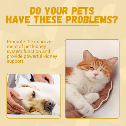 Suplemento Yegbong 💧 – Función Renal, Energía y Vitalidad para Gatos y Perros