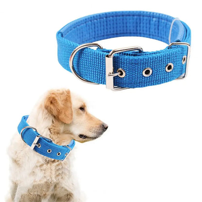 Collar de Nylon Ajustable 🐕 – Anilla de Enganche Resistente para Perros