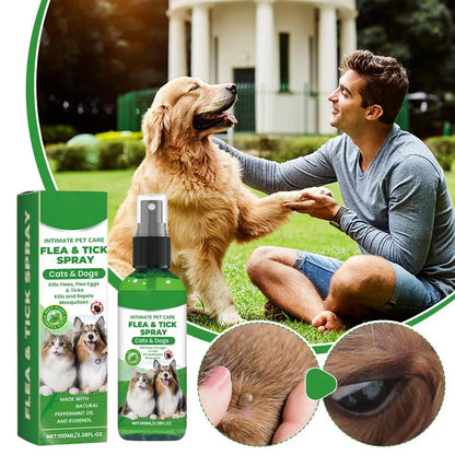 Spray Antipulgas y Garrapatas 🛡️ – Para Perros y Gatos (100 ml)
