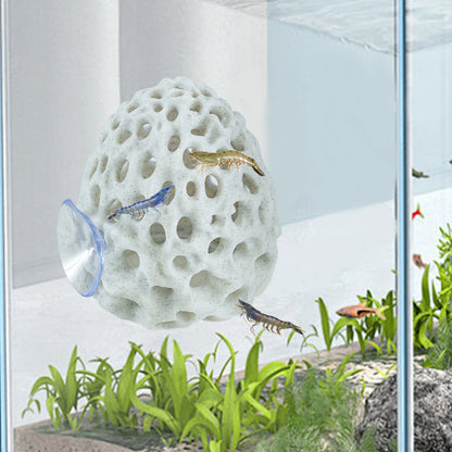 Escondite con Ventosa 🐠 – Para Camarones y Peces Betta