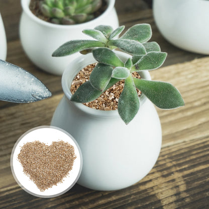 Vermiculita 3L - Sustrato de Cultivo para Plantas, Terrarios y Hongos