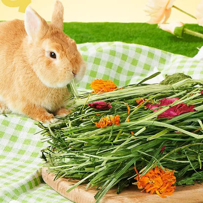 Bloque de Heno Natural 🌾 – Cama y Alimento Seguro para Conejos, Cobayas y Roedores