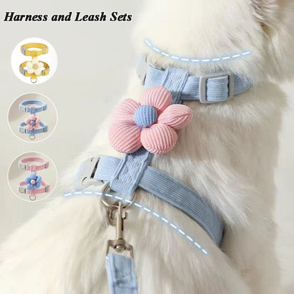 Set de Arnés y Correa Ajustable 🐾 – Para Gatos y Perros Pequeños