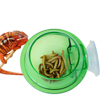 Comedero Ventosa Antiescape 🦎 – Cuenco Doble para Camaleón, Gecko, Serpiente e Iguana
