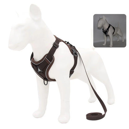 Set de Arnés y Correa 🐶 – Ideal para Perros Pequeños y Cachorros