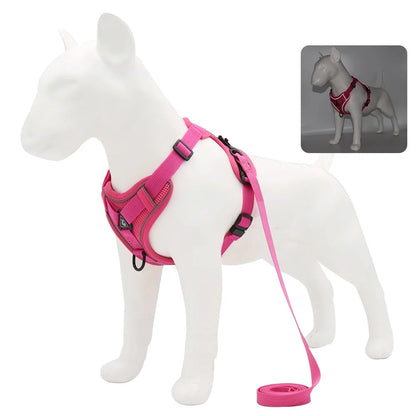 Set de Arnés y Correa 🐶 – Ideal para Perros Pequeños y Cachorros