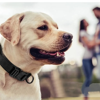 Set Táctico Militar 🎖️ – Collar y Correa Resistente con Asa para Perros