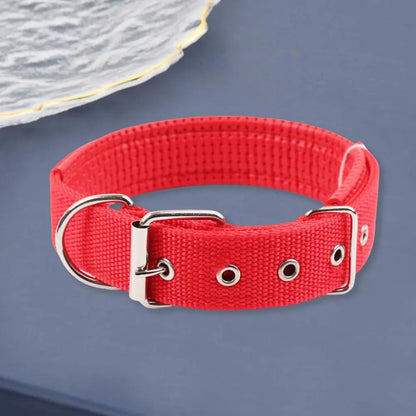 Collar de Nylon Ajustable 🐕 – Anilla de Enganche Resistente para Perros
