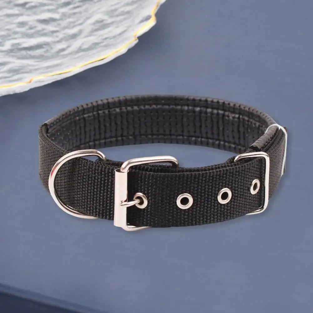 Collar de Nylon Ajustable para Perros - Anilla de Enganche Resistente