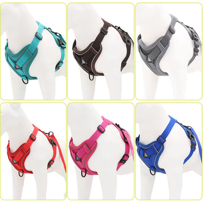 Set de Arnés y Correa 🐶 – Ideal para Perros Pequeños y Cachorros