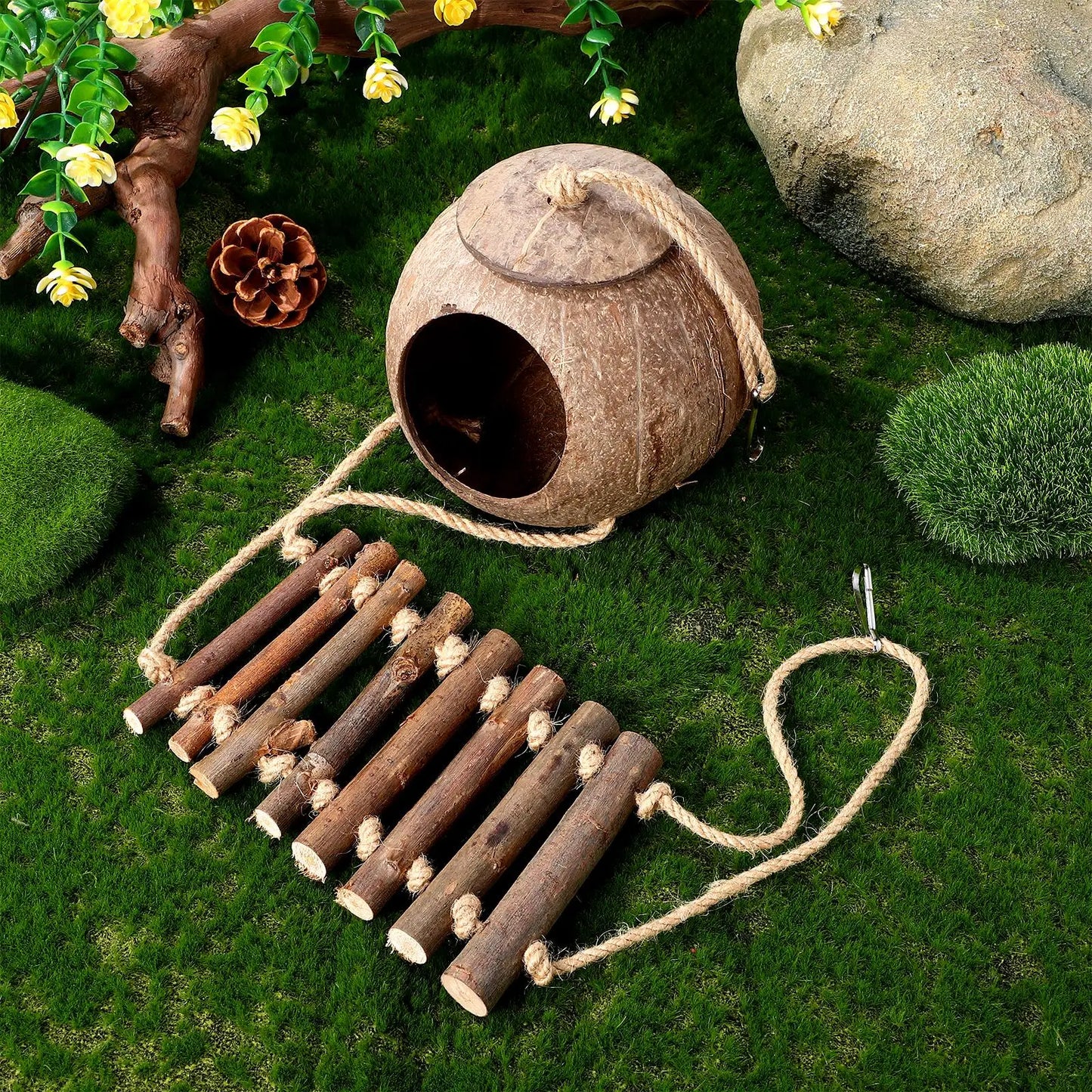 Escondite de Cáscara de Coco con Escalera para Trepar - Cueva para Geckos y Reptiles