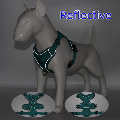 Set de Arnés y Correa 🐶 – Ideal para Perros Pequeños y Cachorros
