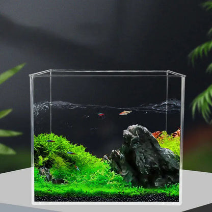 Acuario Nano Rimless 🐠 – Pecera de Cristal Alta y Compacta para Betta
