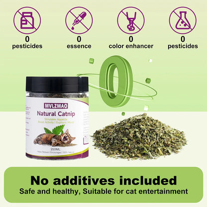 Hierba Gatera Natural (Catnip) 🌿 – 100% Segura para Juguetes y Accesorios de Gatos