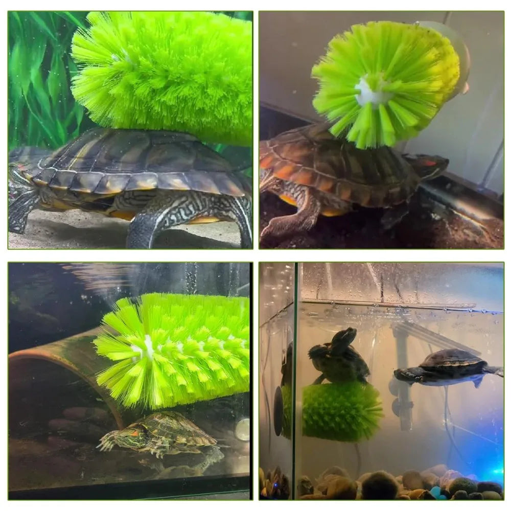 Cepillo Limpiador de Caparazón para Tortugas - Escobilla para Pequeños Animales Acuáticos
