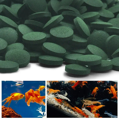 Tabletas de Espirulina 🌿 – Para Peces y Camarón Cristal Rojo