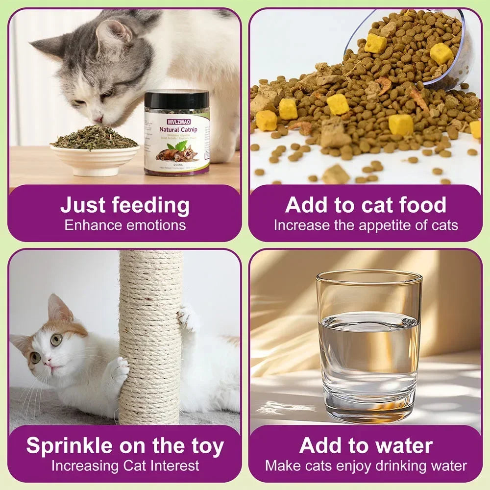 Hierba Gatera Natural (Catnip) 100% Segura - Complemento para Juguetes y Accesorios de Gatos