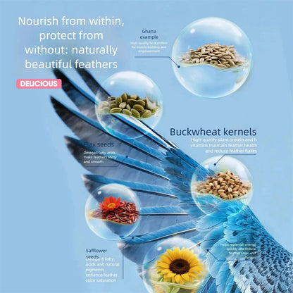 Alimento Mixto de Semillas y Flores 🌻 – Para Loros y Periquitos (800 g)