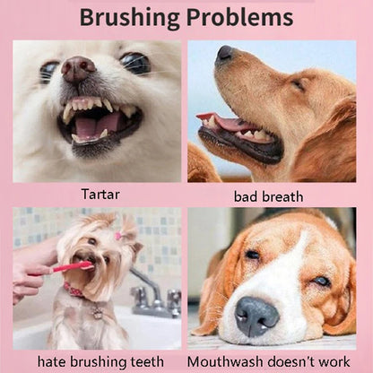 Cepillo de Dientes Suave 🦷 – Limpieza Bucal 360° para Perros, Gatos, Conejos y Hámsters
