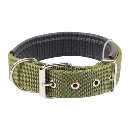 Collar de Nylon Ajustable 🐕 – Anilla de Enganche Resistente para Perros