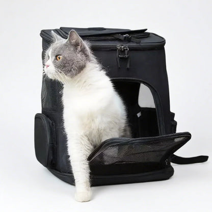 Mochila Transportín Expandible 🎒 – Malla Transpirable para Gatos y Perros Hasta 8 kg