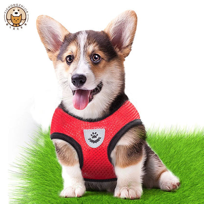 Arnés Tipo Chaleco Transpirable 🎽 – Ajustable, Incluye Correa para Perros