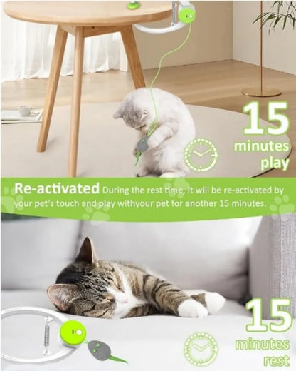 Juguete Colgante de Puerta 🚪 – Cinta Elástica con Muelle para Gatos