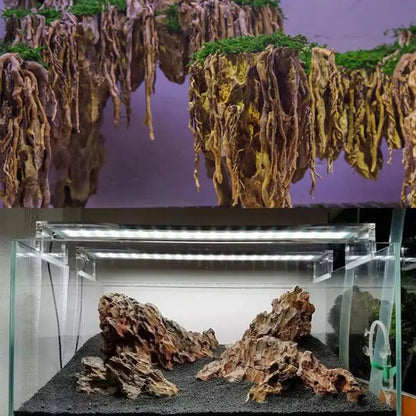 Piedra Natural Microporosa 🪨 – Rocalla Decorativa para Plantas de Acuario