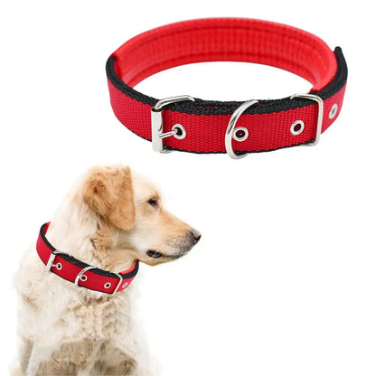 Collar de Nylon Ajustable 🐕 – Anilla de Enganche Resistente para Perros