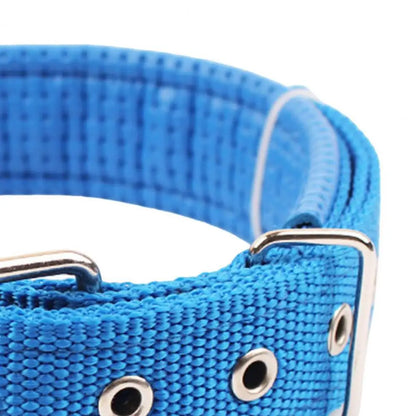 Collar de Nylon Ajustable 🐕 – Anilla de Enganche Resistente para Perros