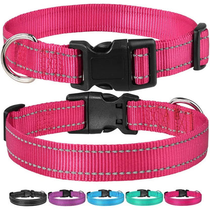 Collar Reflectante Ajustable 🌙 – Seguridad Extra en Paseos Nocturnos para Perros