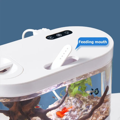 Acuario Creativo de Sobremesa 💡 – Filtración Biológica y Luz LED para Betta