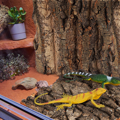 4 Piezas de Corteza de Corcho Segura 🌳 – Decoración de Fondo para Terrario de Lagartos y Geckos
