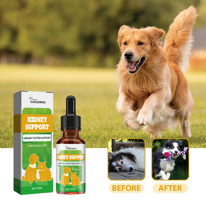 Suplemento Yegbong 💧 – Función Renal, Energía y Vitalidad para Gatos y Perros