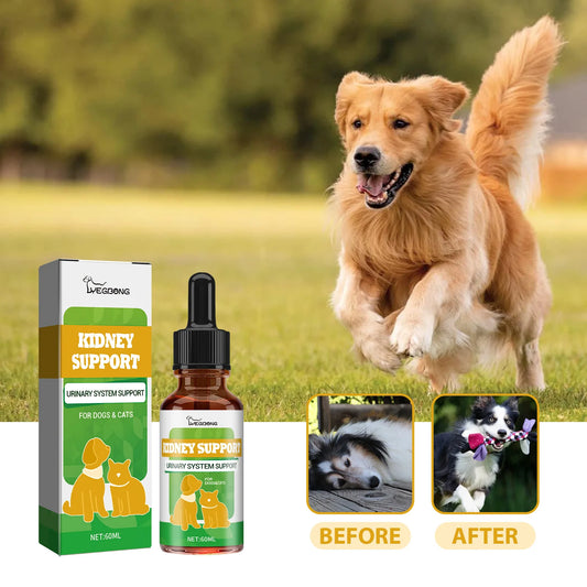 Suplemento Yegbong para Función Renal - Energía y Vitalidad para Gatos y Perros