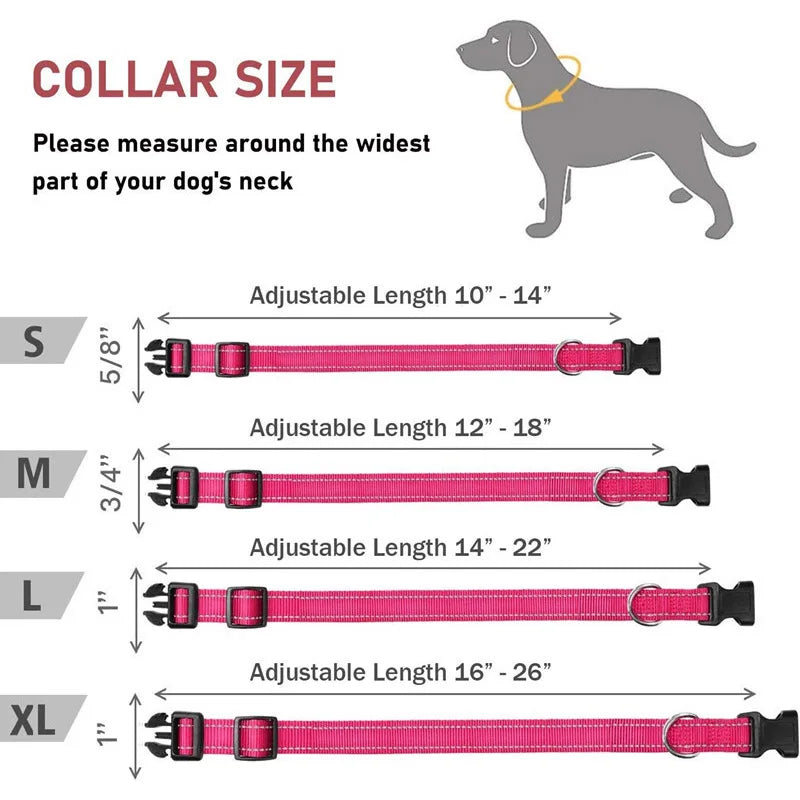 Collar Reflectante Ajustable para Perros - Seguridad en Paseos Nocturnos